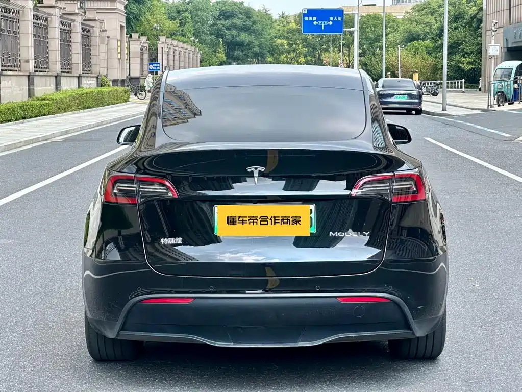 Tesla Model Y — миниатюра 6