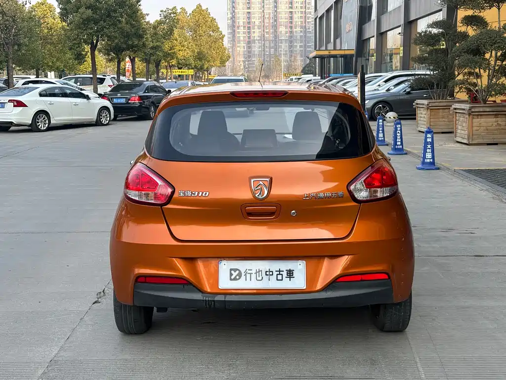 BAOJUN 310