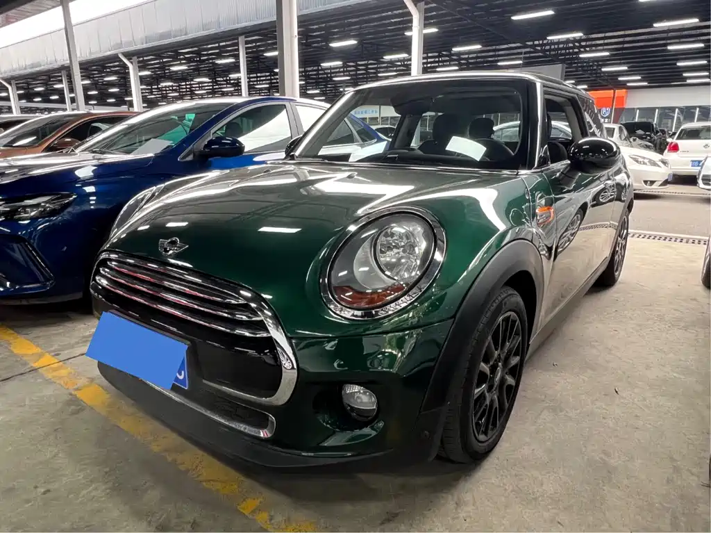 Mini Mini 2018