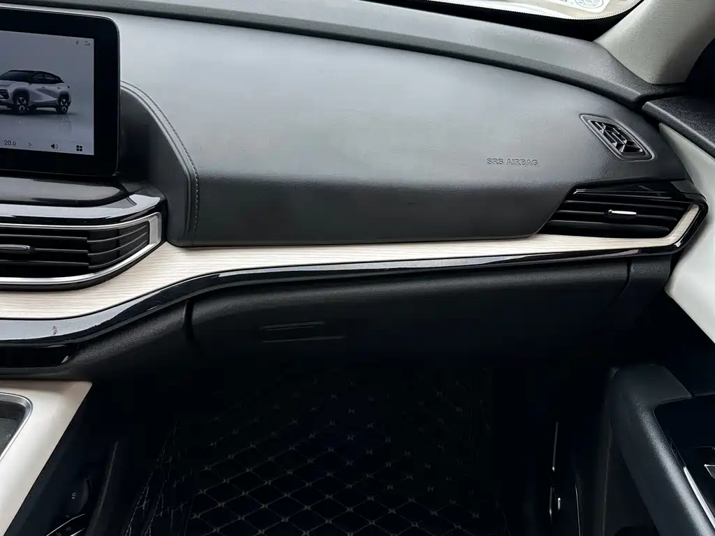 CHERY CHERY SHU XIANGJIA