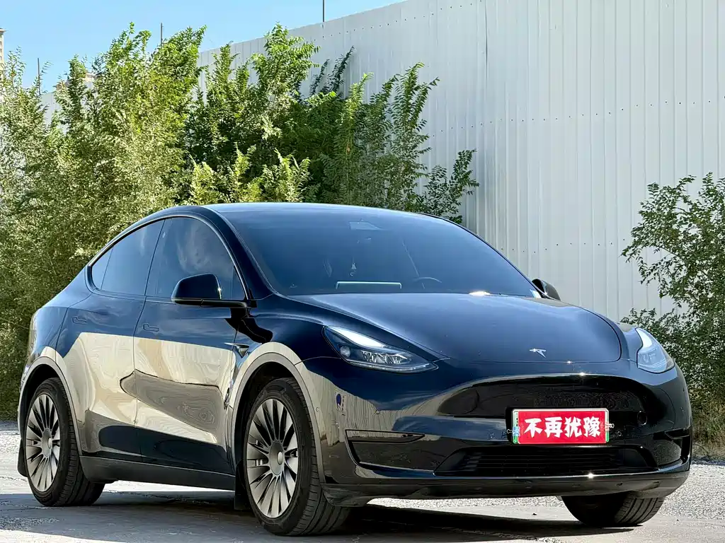 Tesla Model Y — миниатюра 3