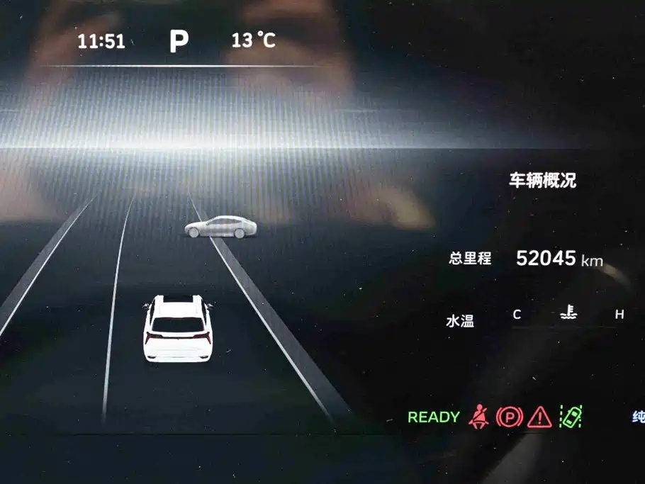 WEI PAI WEI BRAND BLUE MOUNTAIN