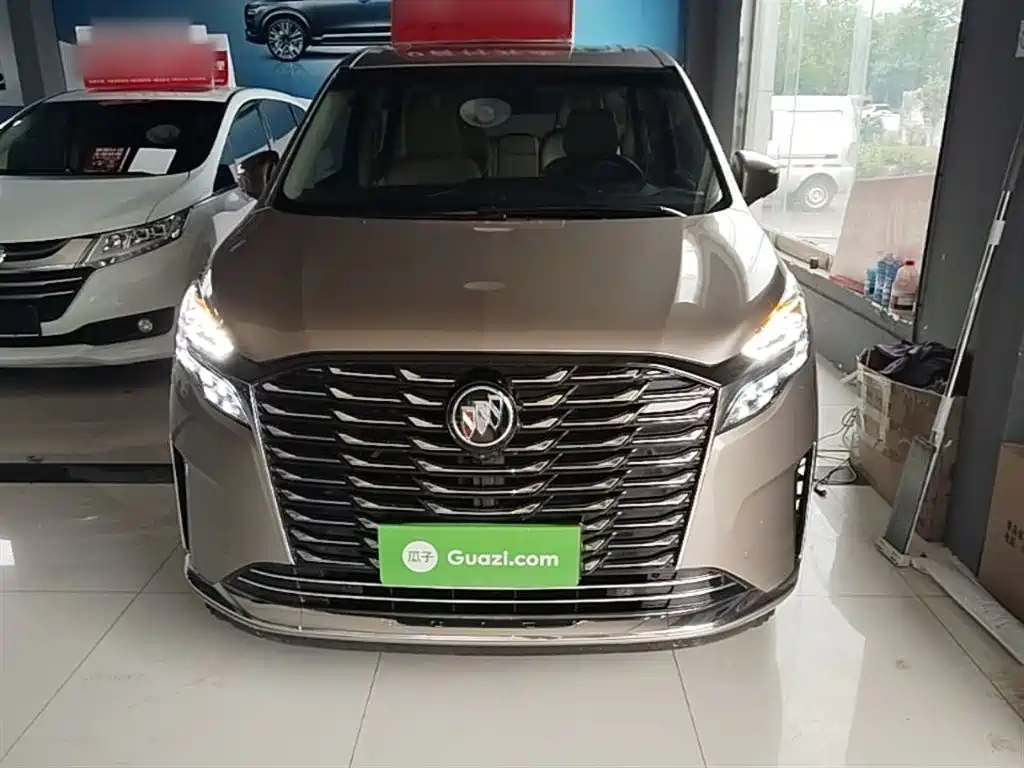 Buick GL8 2023 ES Luxury