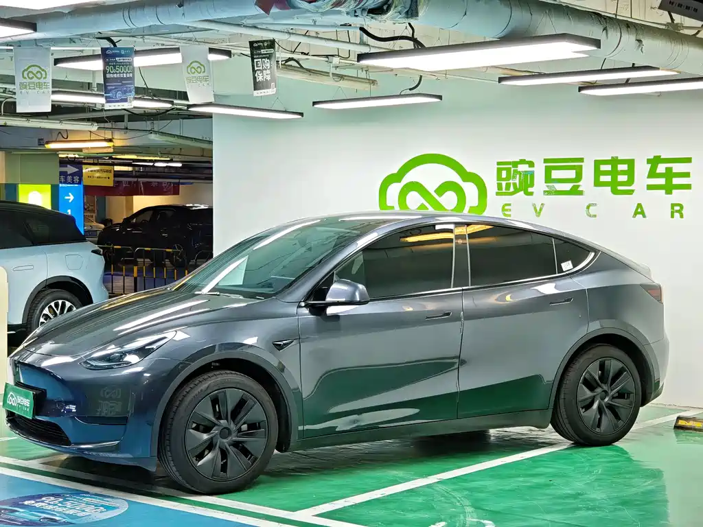 Tesla Model Y — миниатюра 2