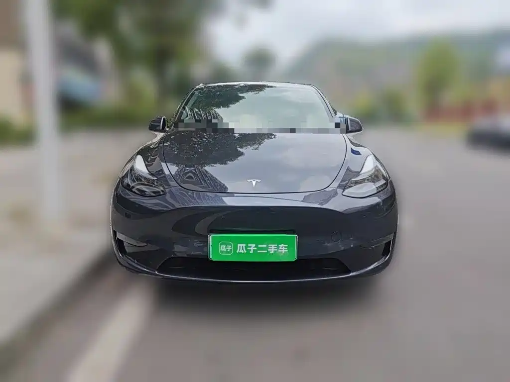 Tesla Model Y — миниатюра 2