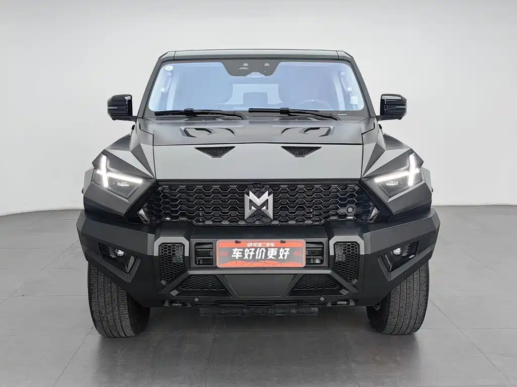 Mengshi Mengshi 917 — миниатюра 3