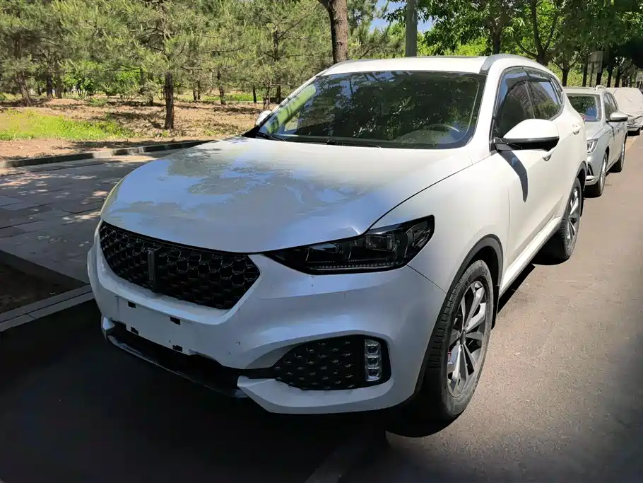 Wey Wey VV6 2019