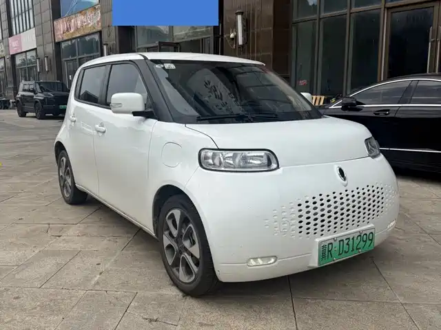 2021 Ora R2/White Cat