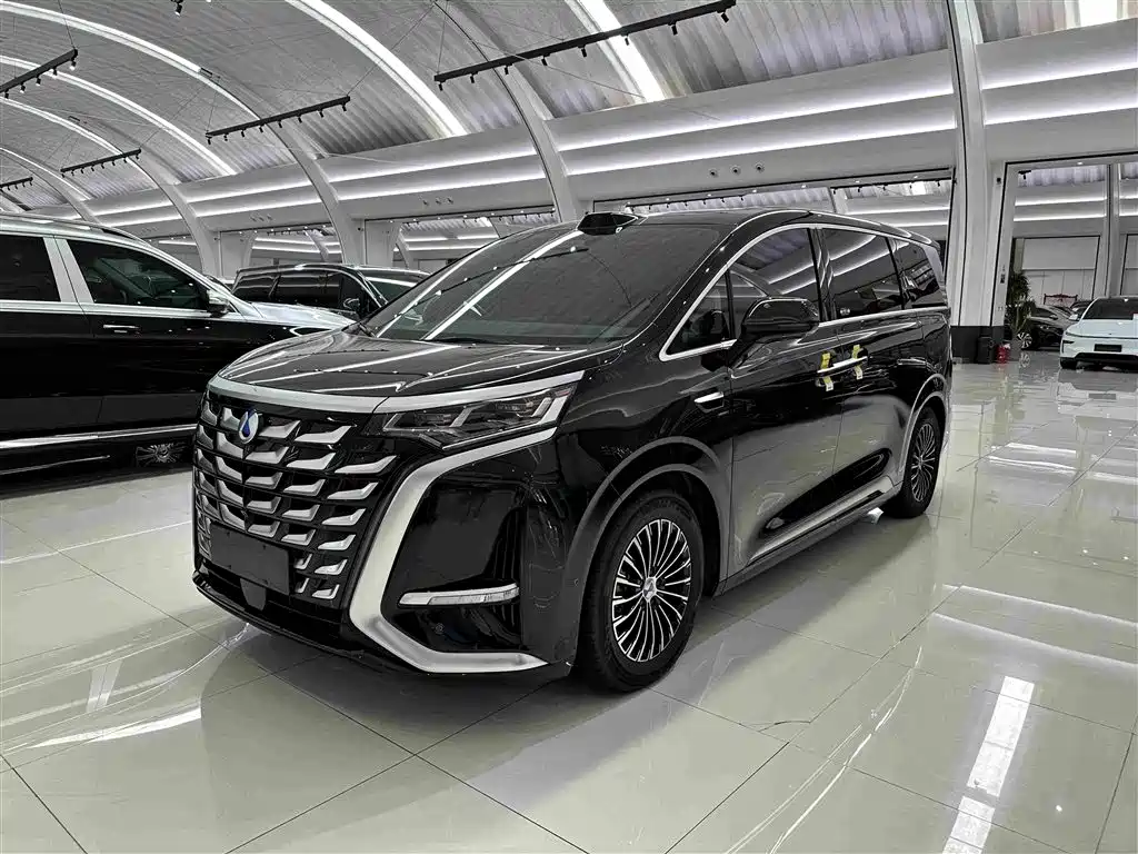 2025 Denza D9 - zdjęcie 1 z 27