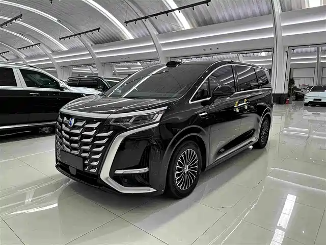 2025 Denza D9