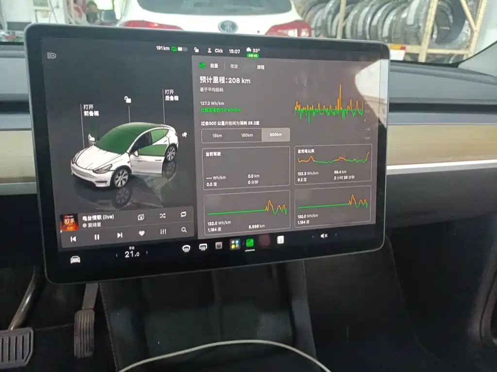 Tesla Model Y — миниатюра 6
