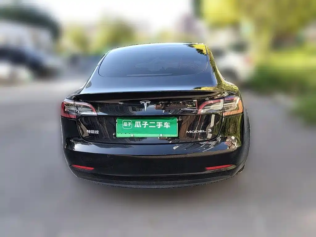 Tesla Model 3 — миниатюра 3