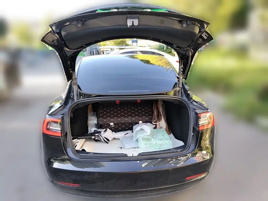 Tesla Model 3 — миниатюра 15