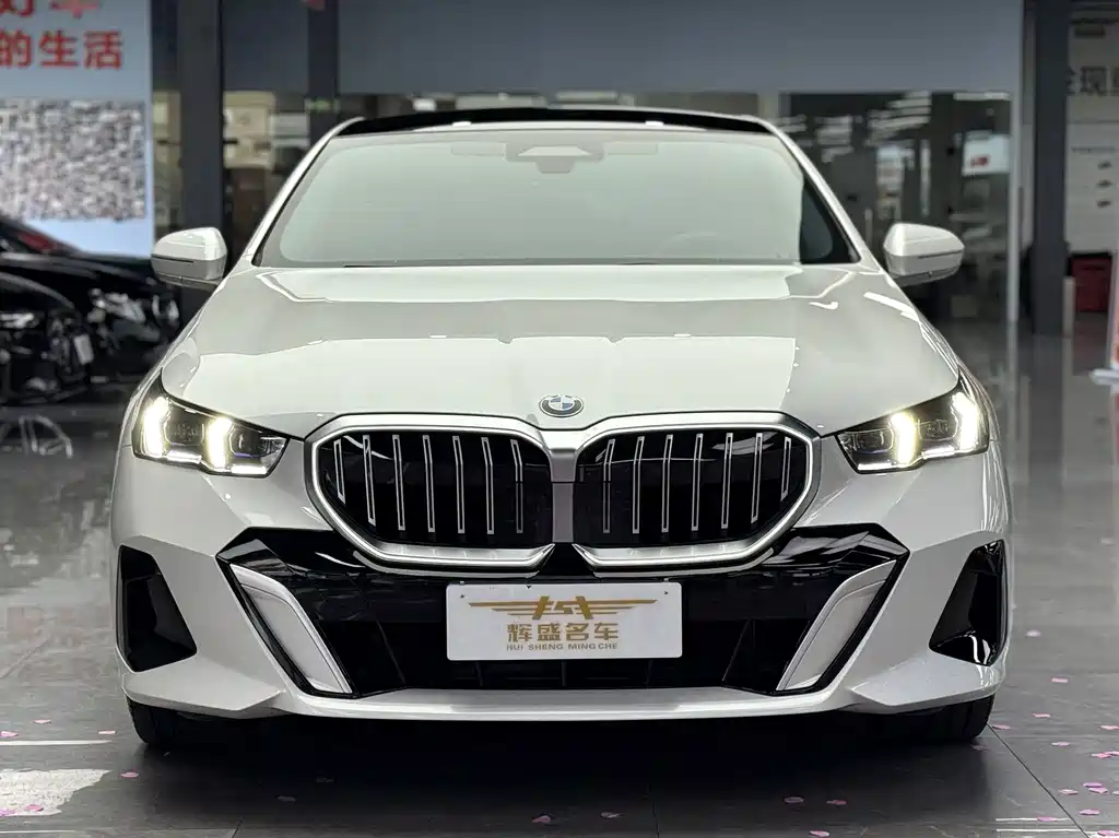 BMW 5 Series — миниатюра 2