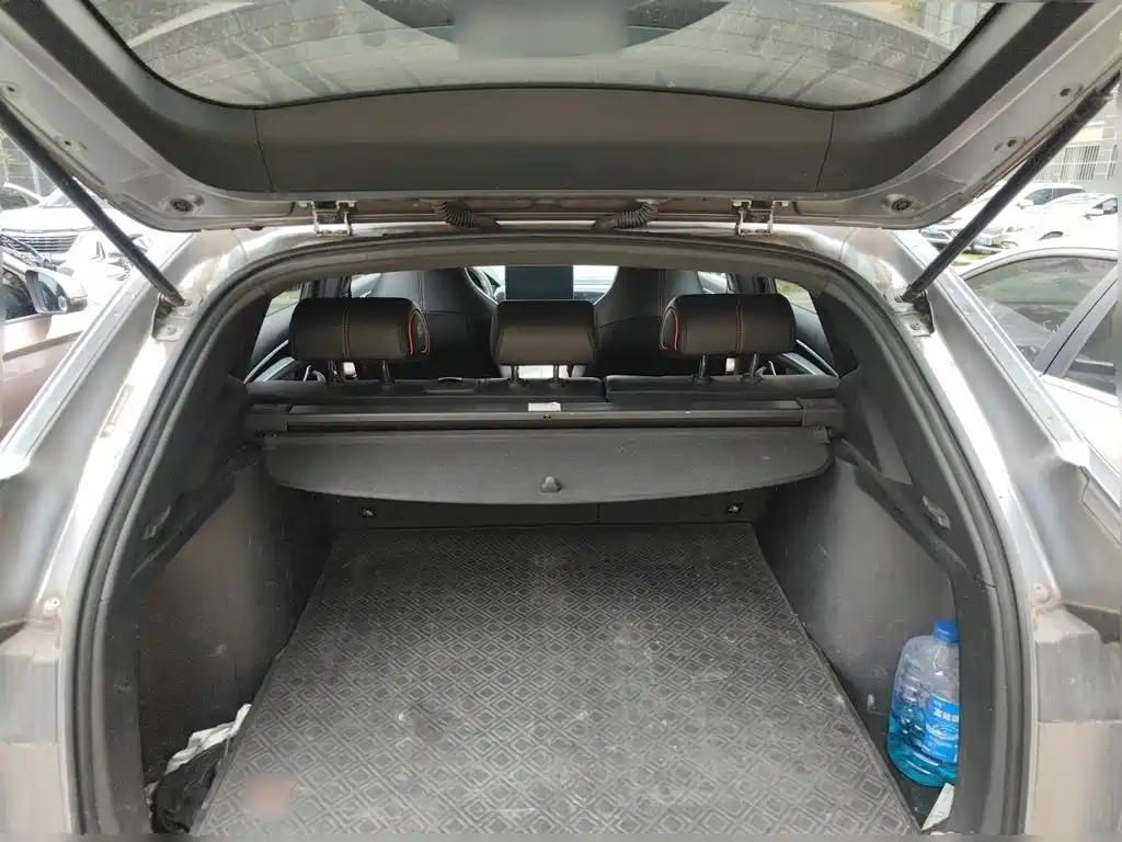 BYD PLUS — миниатюра 15