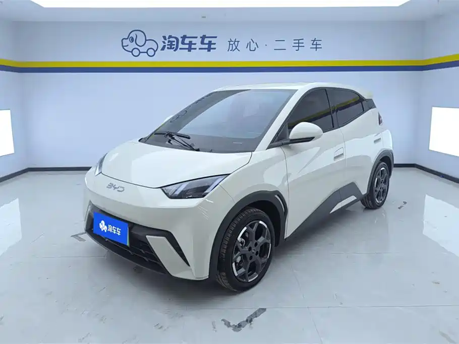 Byd Seagull 2024