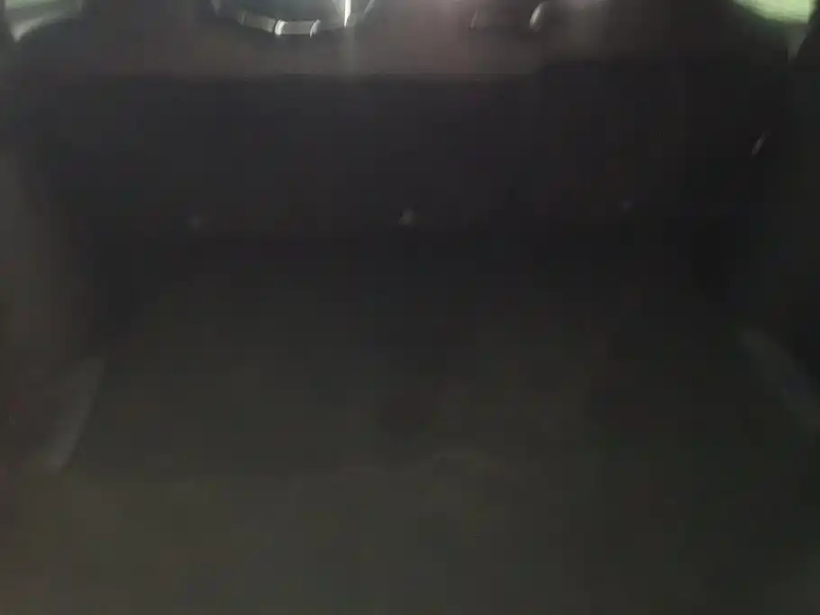 Tesla Model X — миниатюра 4