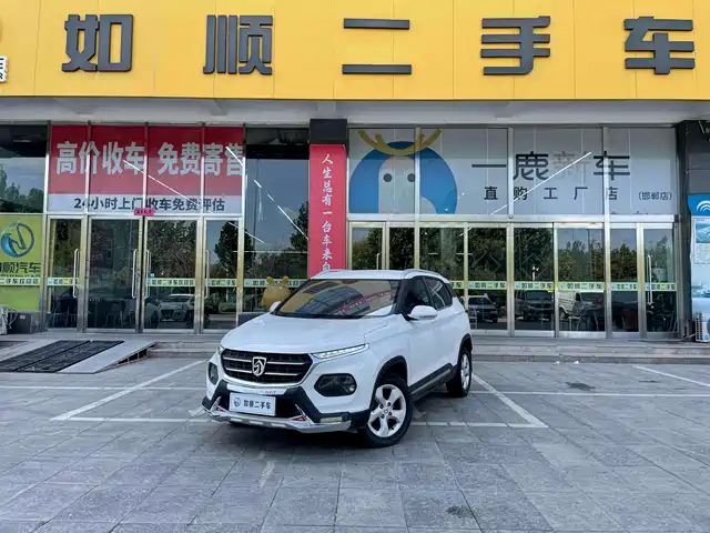 BAOJUN  510 2019