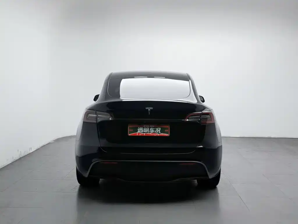 Tesla Model Y — миниатюра 4