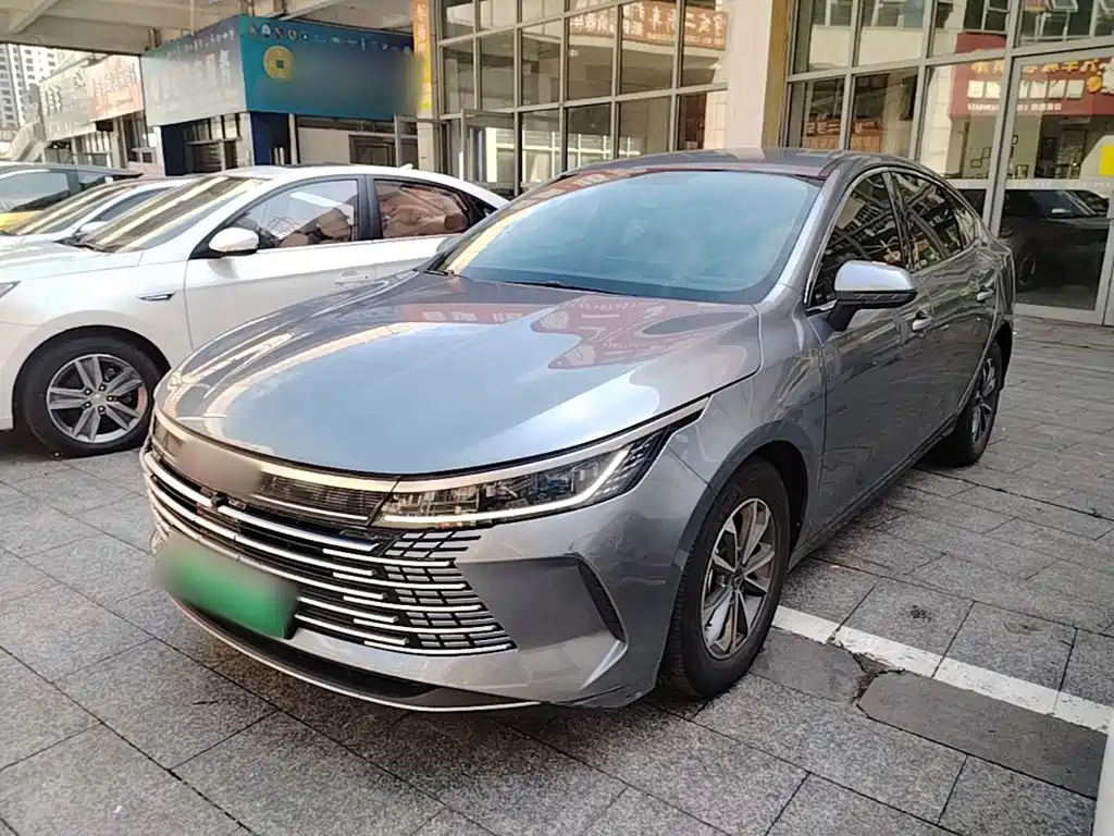 BYD Destroyer 05 2024 DM-i 55KM Luxury