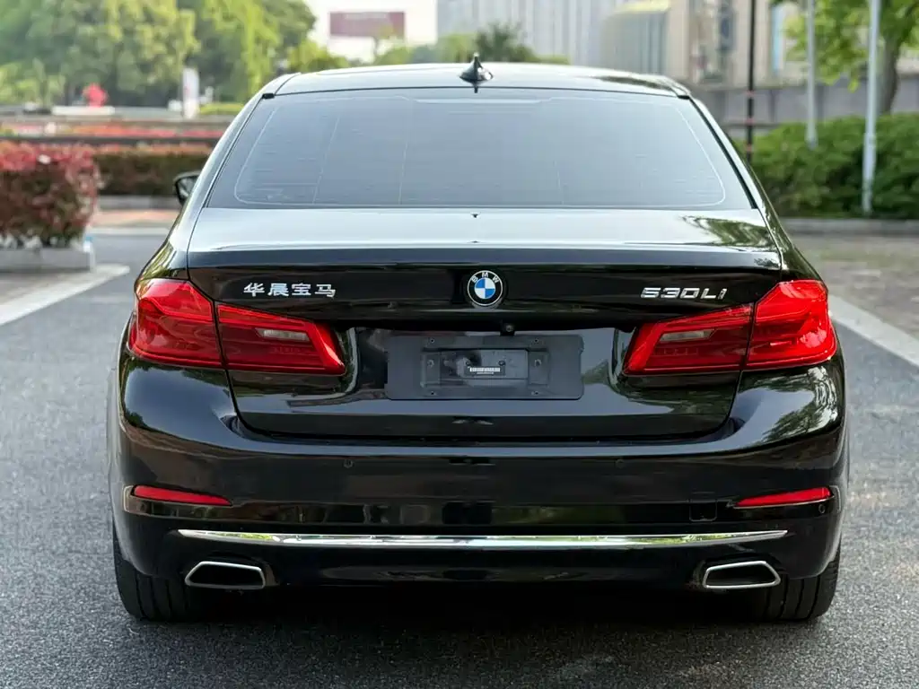 BMW 5 Series 5 2019 530Li Premium Luxury
