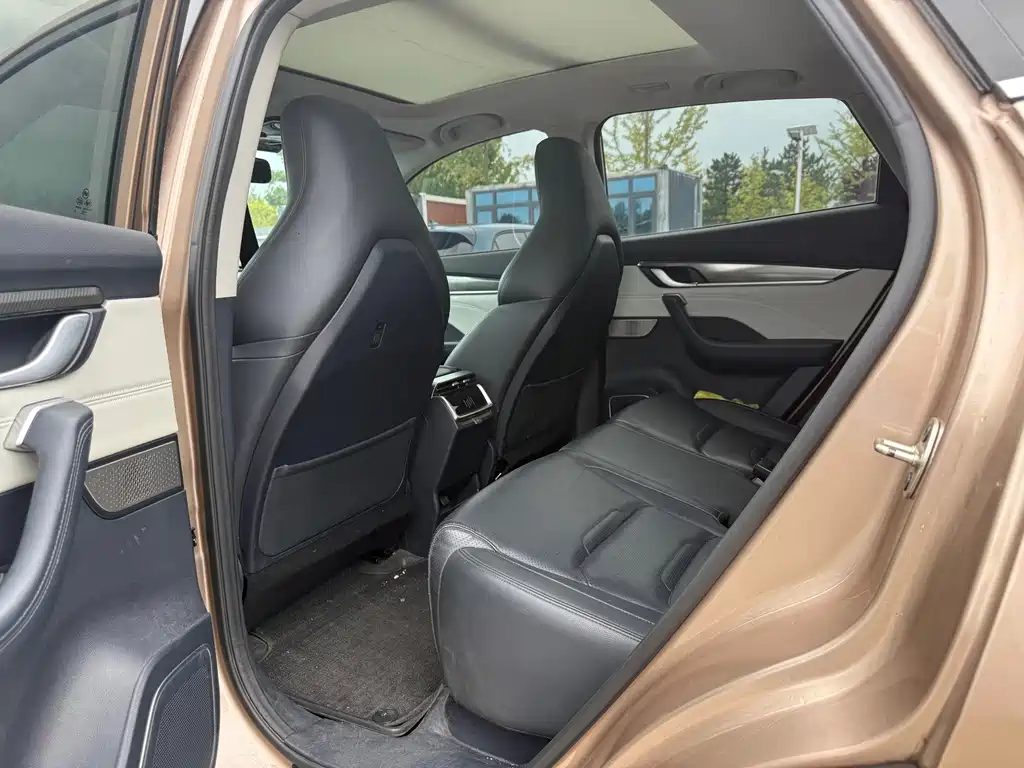WM Motor EX5 — миниатюра 8