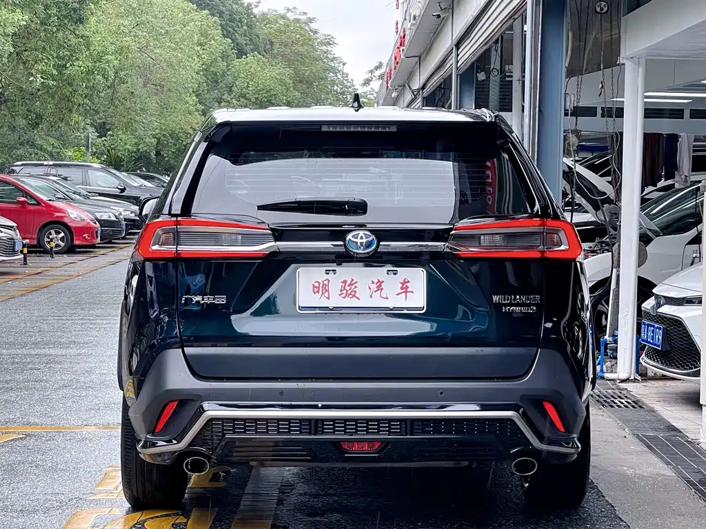 Toyota Wildlander 2020 2.5L E-CVT Luxury