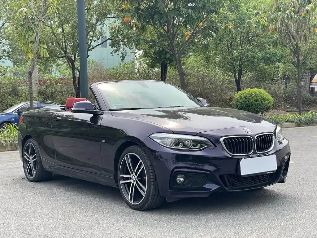BMW 2 Series 2 2019 225i Premium M Sport