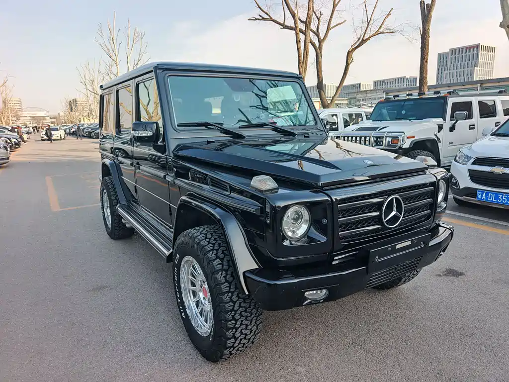 Mercedes-Benz G-Class G 2010 G 500