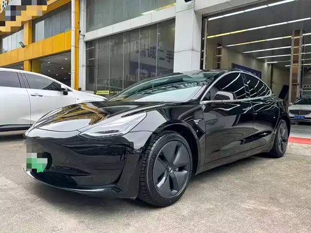 TESLA MODEL 3 2020