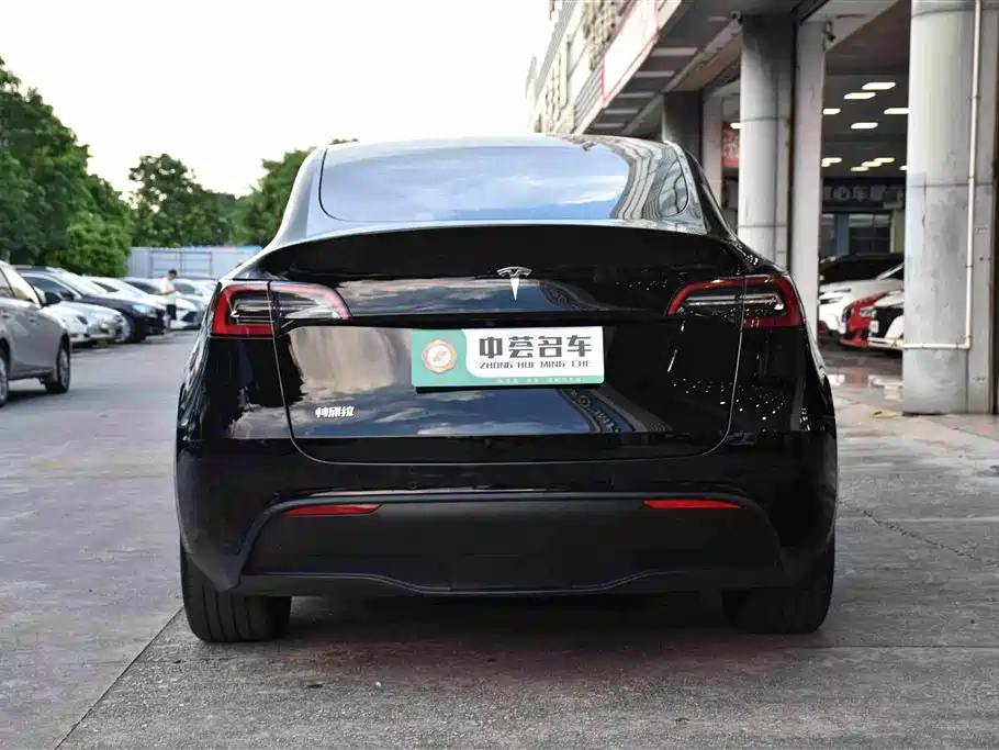Tesla Model Y — миниатюра 17