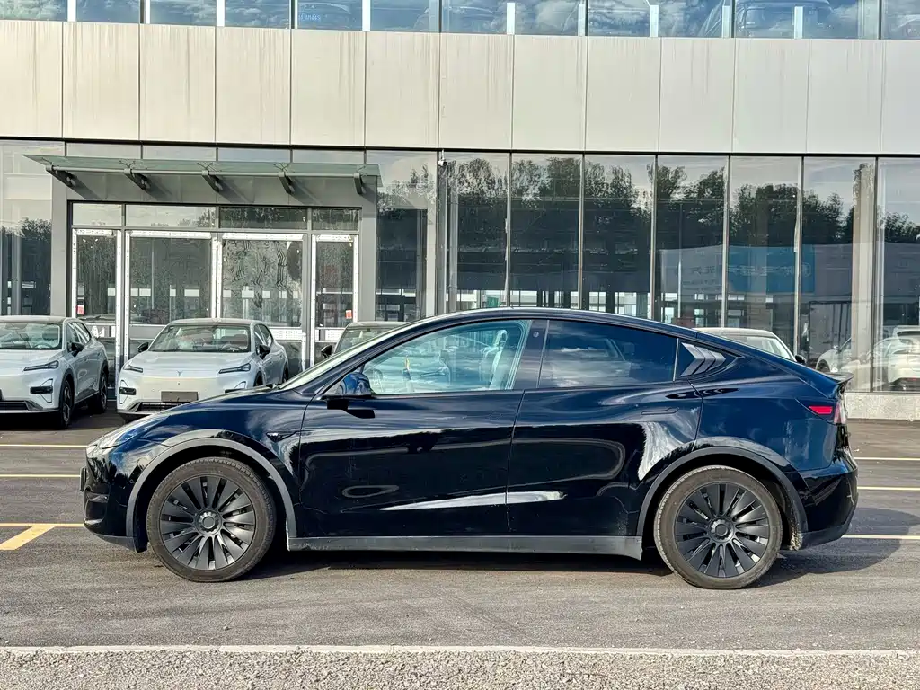 Tesla Model Y — миниатюра 4