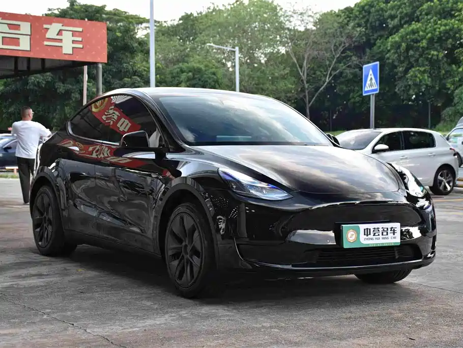 Tesla Model Y — миниатюра 4