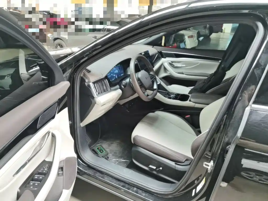 BYD PLUS New Energy — миниатюра 16