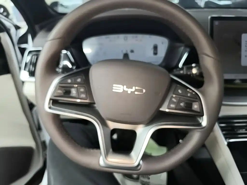 BYD PLUS New Energy — миниатюра 11