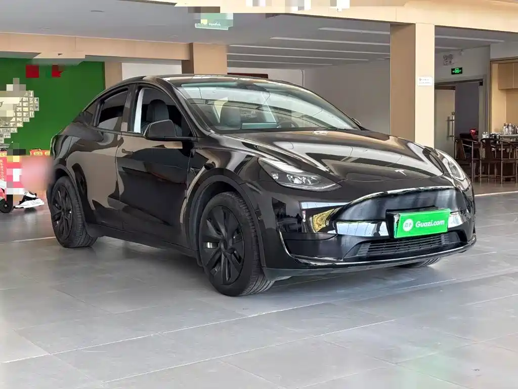 Tesla Model Y — миниатюра 4