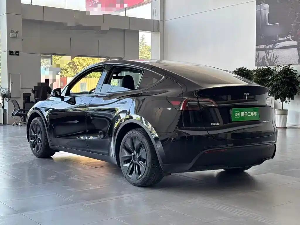 Tesla Model Y — миниатюра 5
