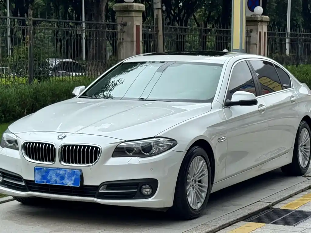 BMW 5 Series 5 2014 525Li Lead