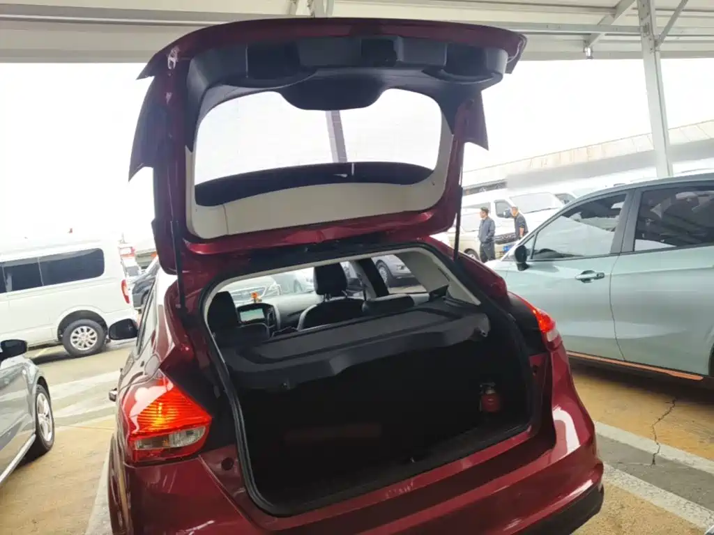Ford Focus — миниатюра 19