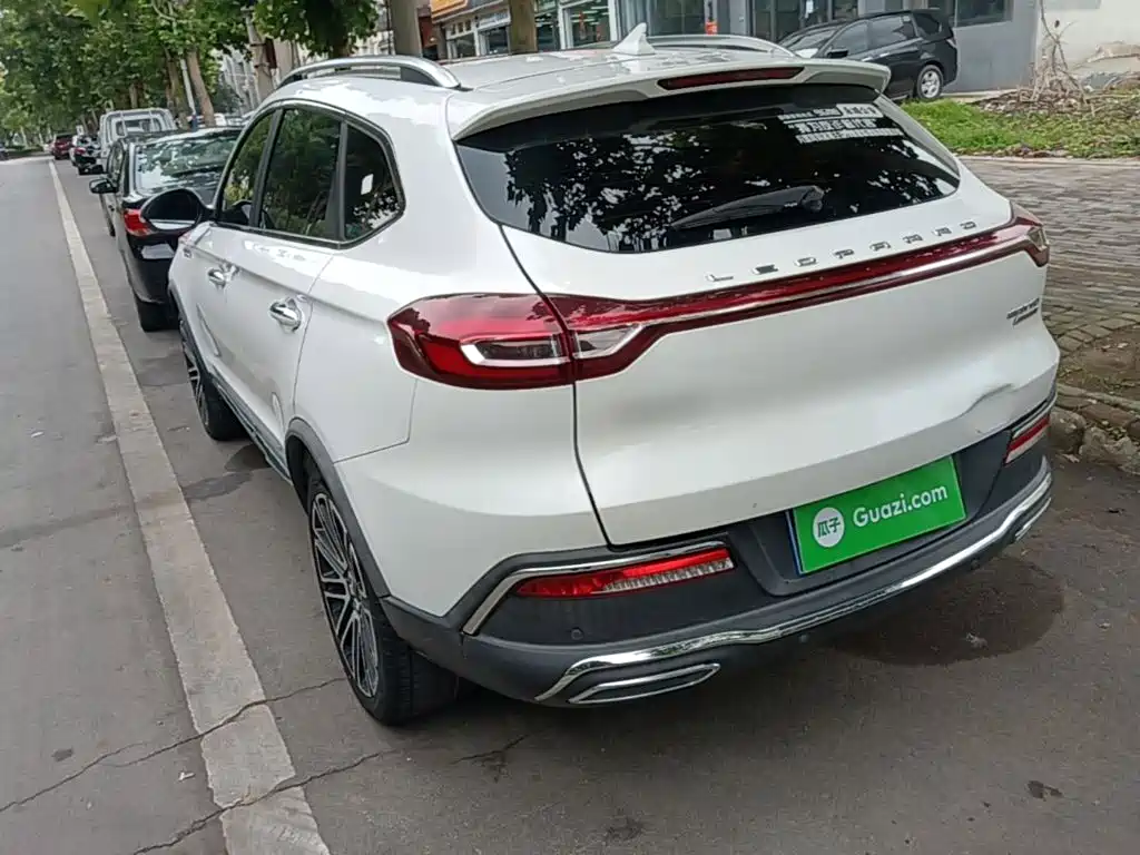 Leopaard Mattu — миниатюра 5