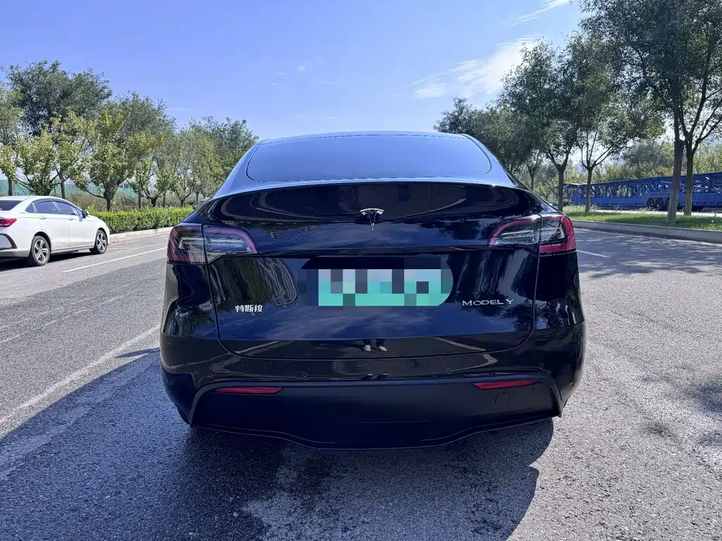 Tesla Model Y — миниатюра 5