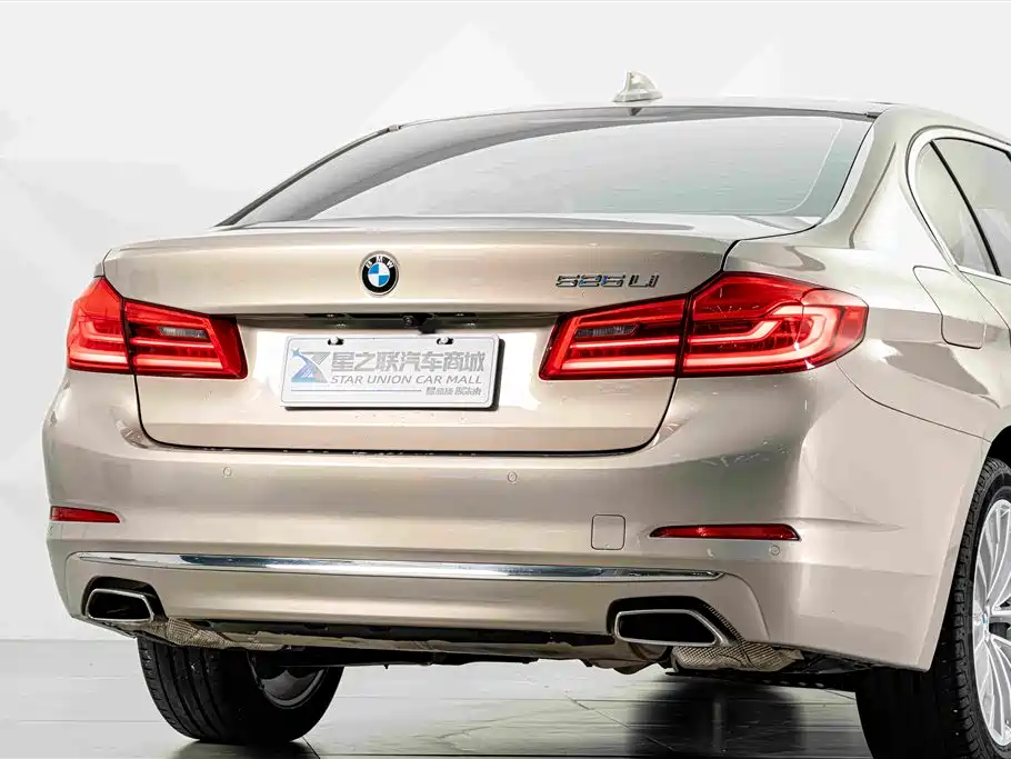 BMW 5 Series 5 2019 525Li Luxury