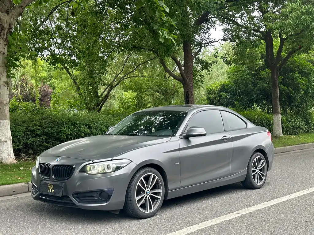 Купить BMW 2 Series (Import)