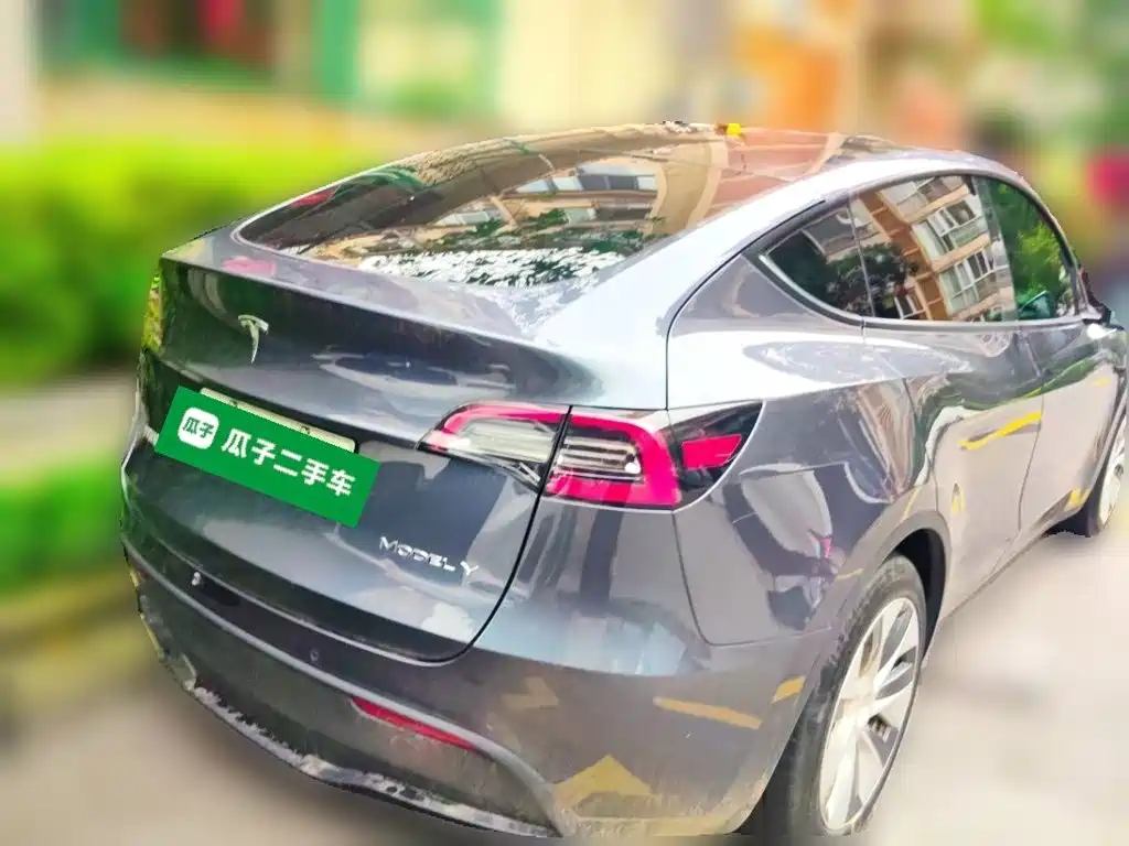 Tesla Model Y — миниатюра 4