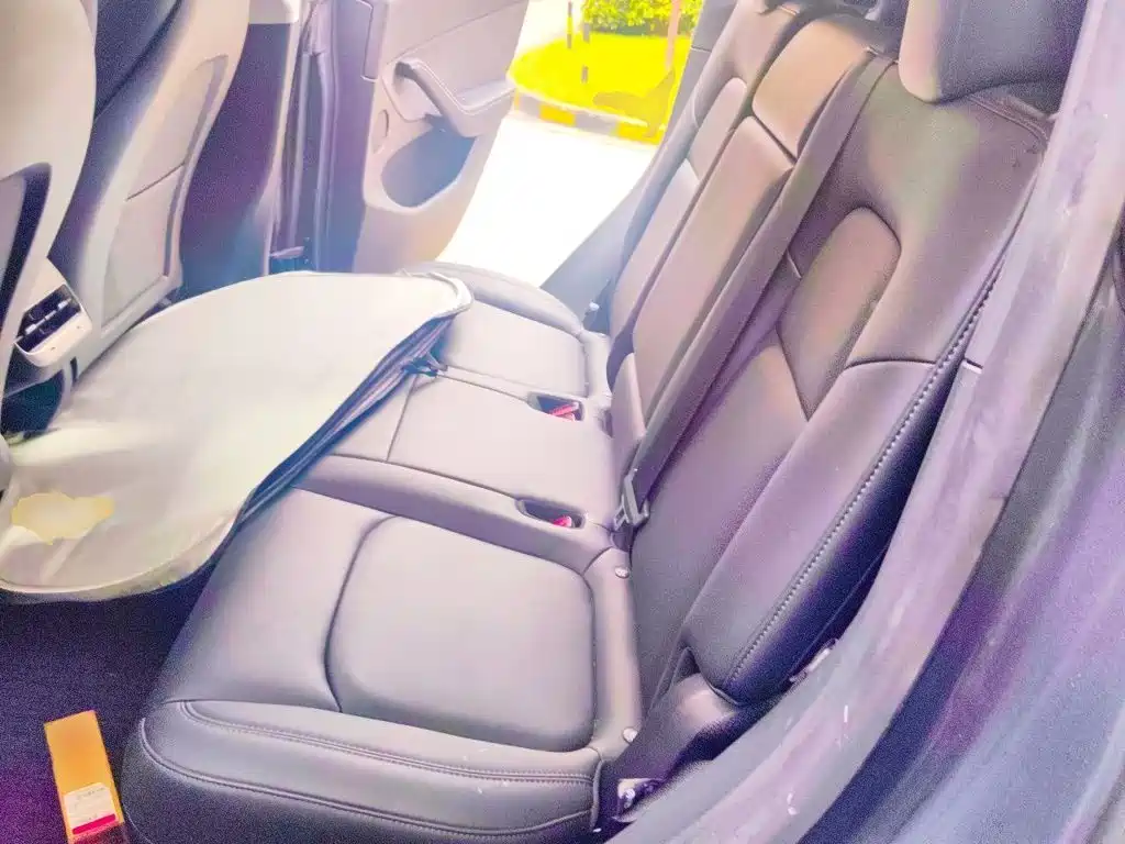 Tesla Model Y — миниатюра 13