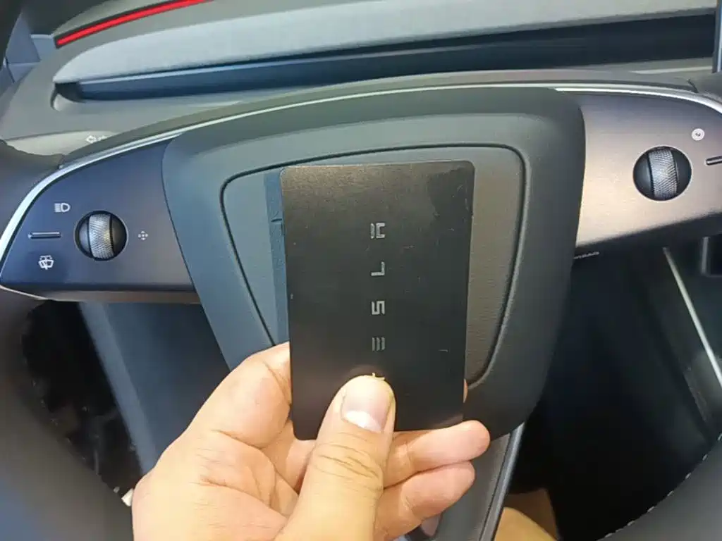 Tesla Model Y L