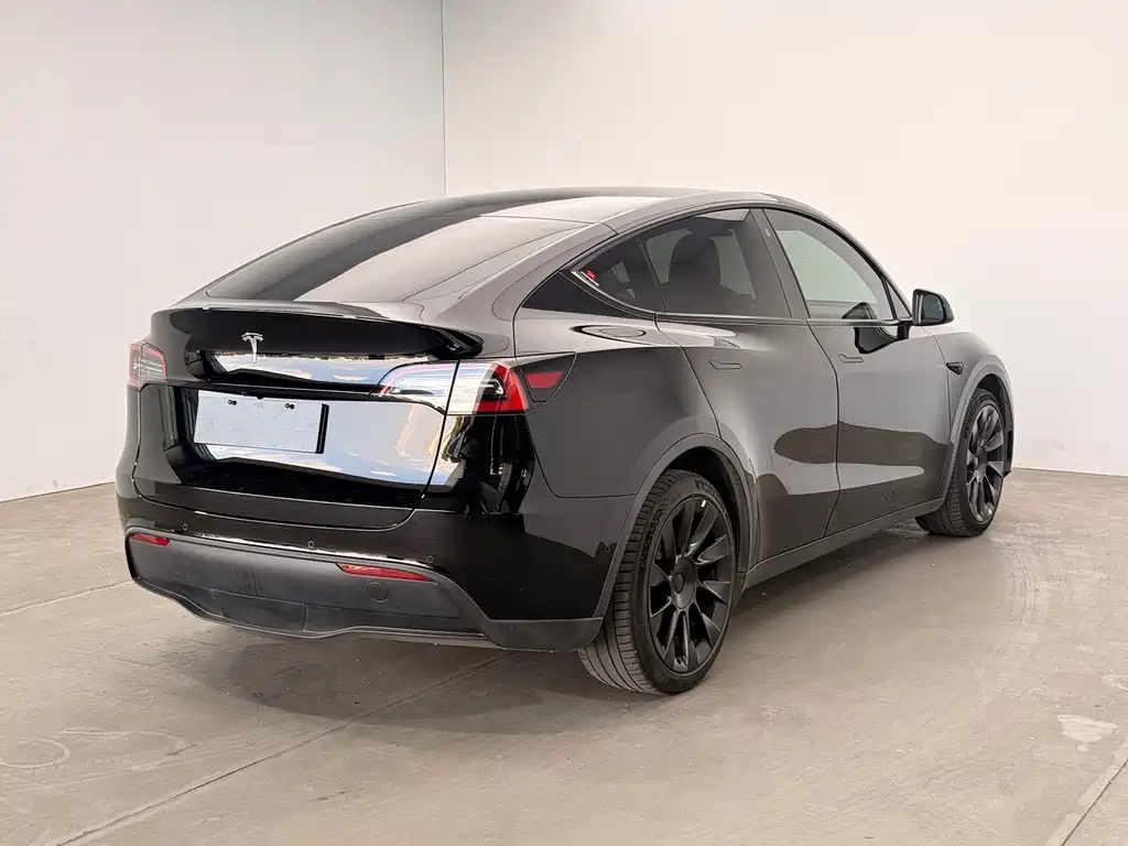 Tesla Model Y — миниатюра 4