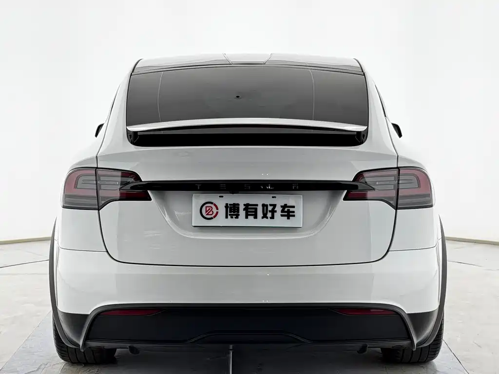 Tesla Model X — миниатюра 11