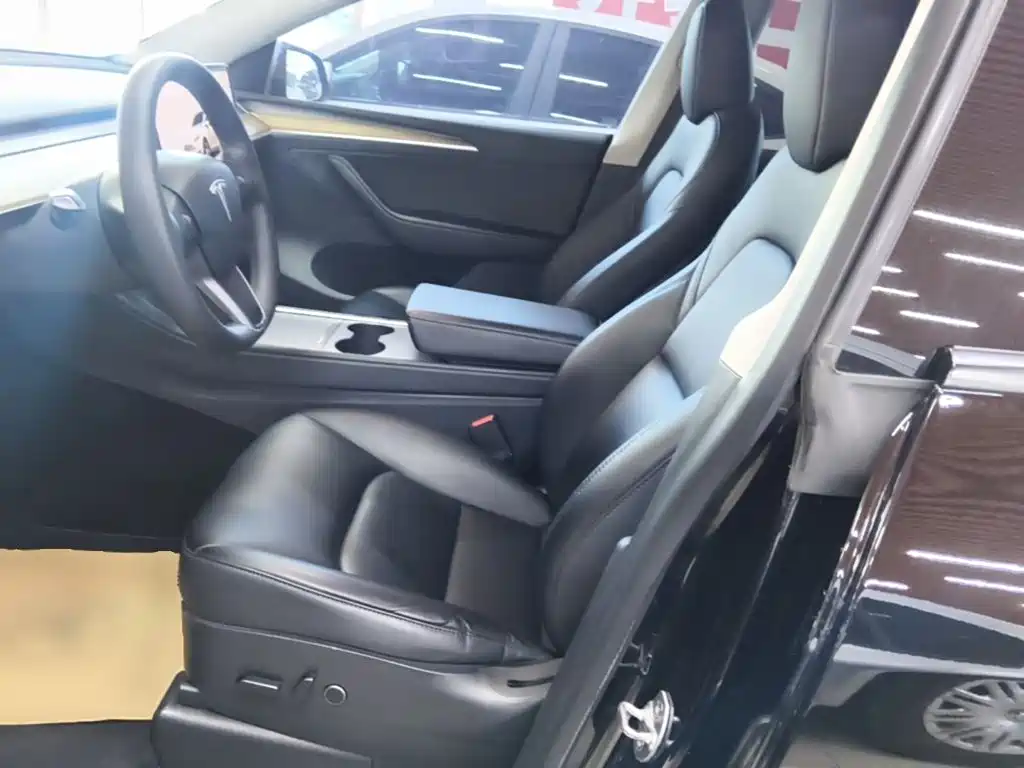 Tesla Model Y — миниатюра 15