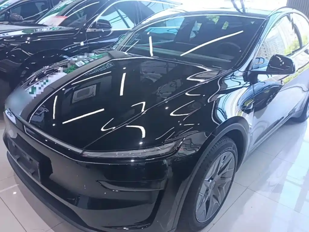 Tesla Model Y L